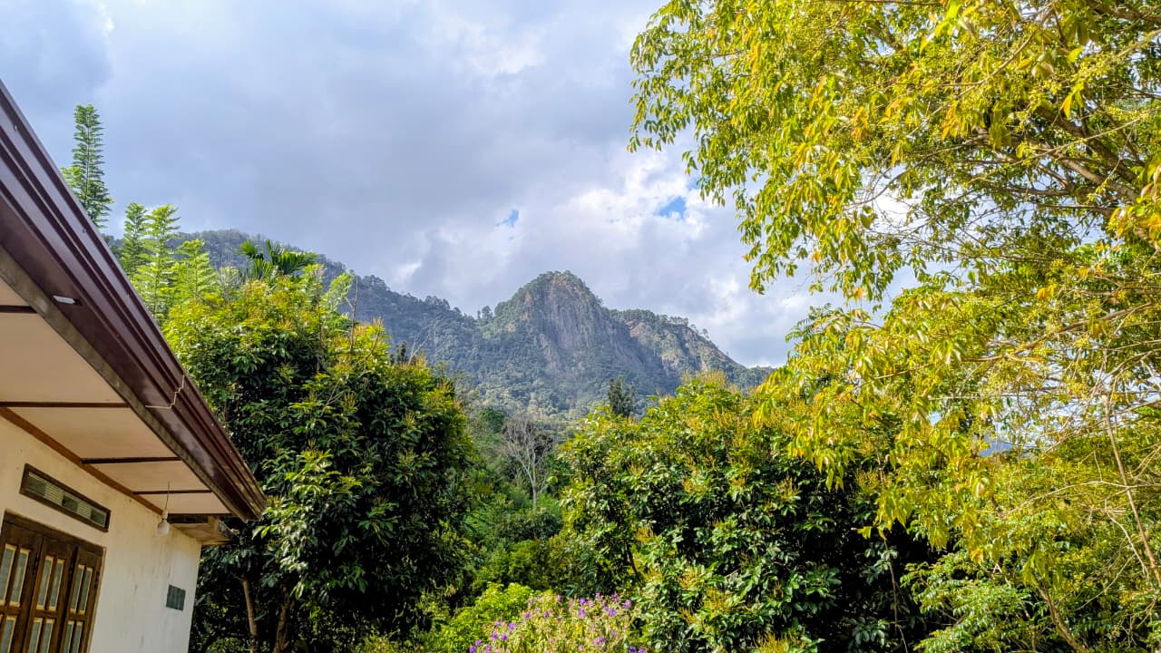 Diyaluma Falls or Local Nature