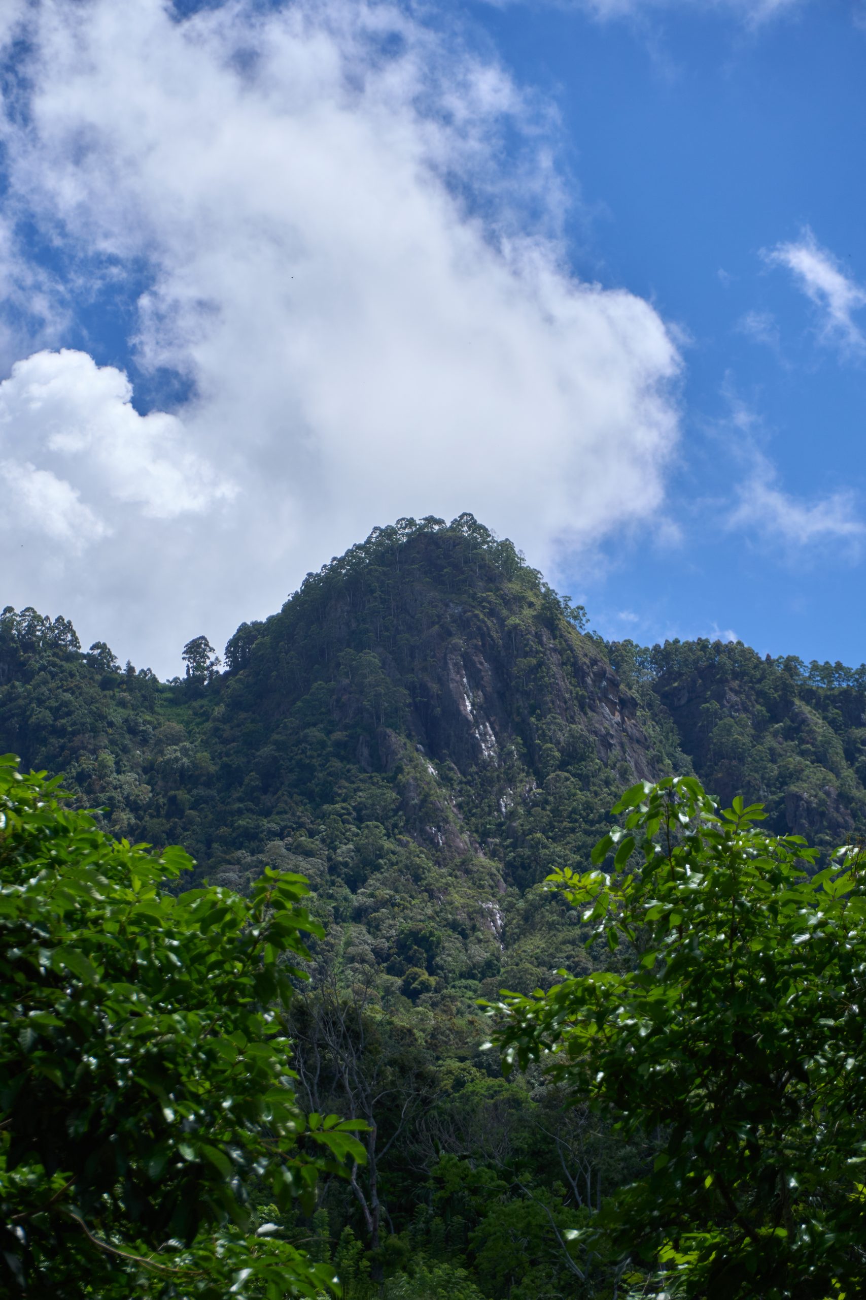 Haputhale Mountain Potrait