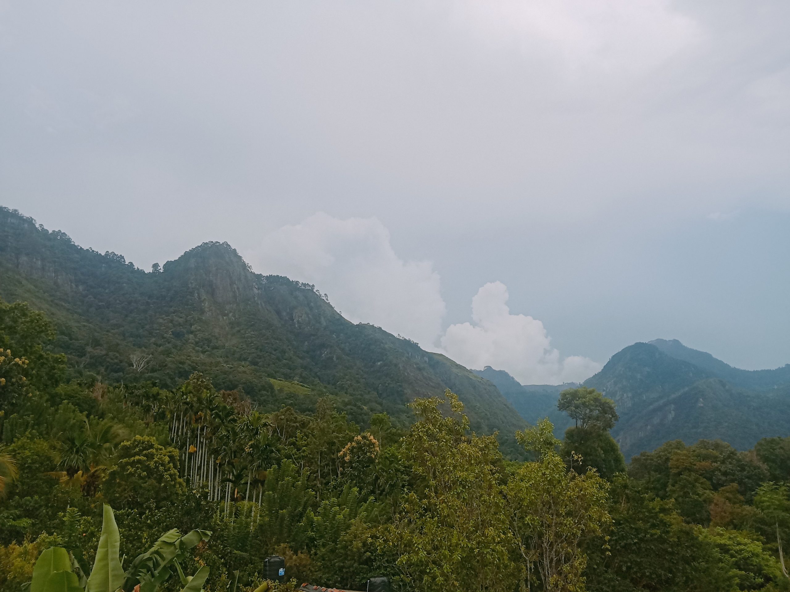 Mountainous landscape